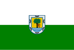 Bandera del departamento de Antioquia